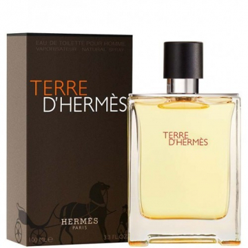 Hermes Terre d'Hermes Туалетная вода 100 ml (3346131400003)